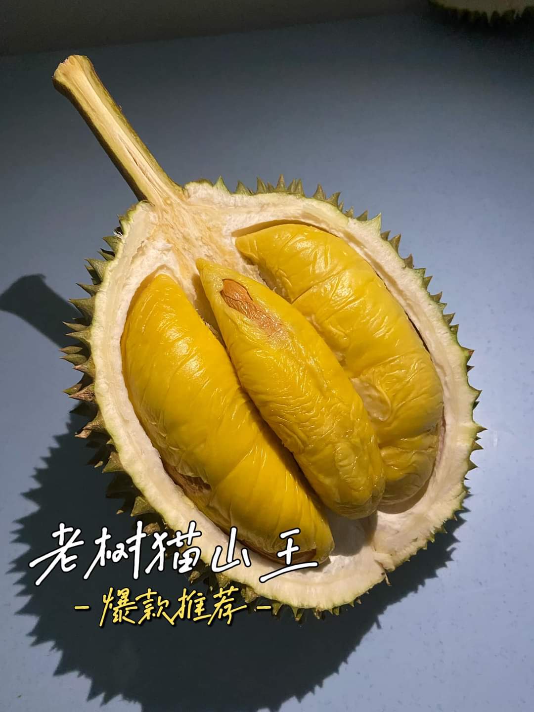 金色猫山王果肉