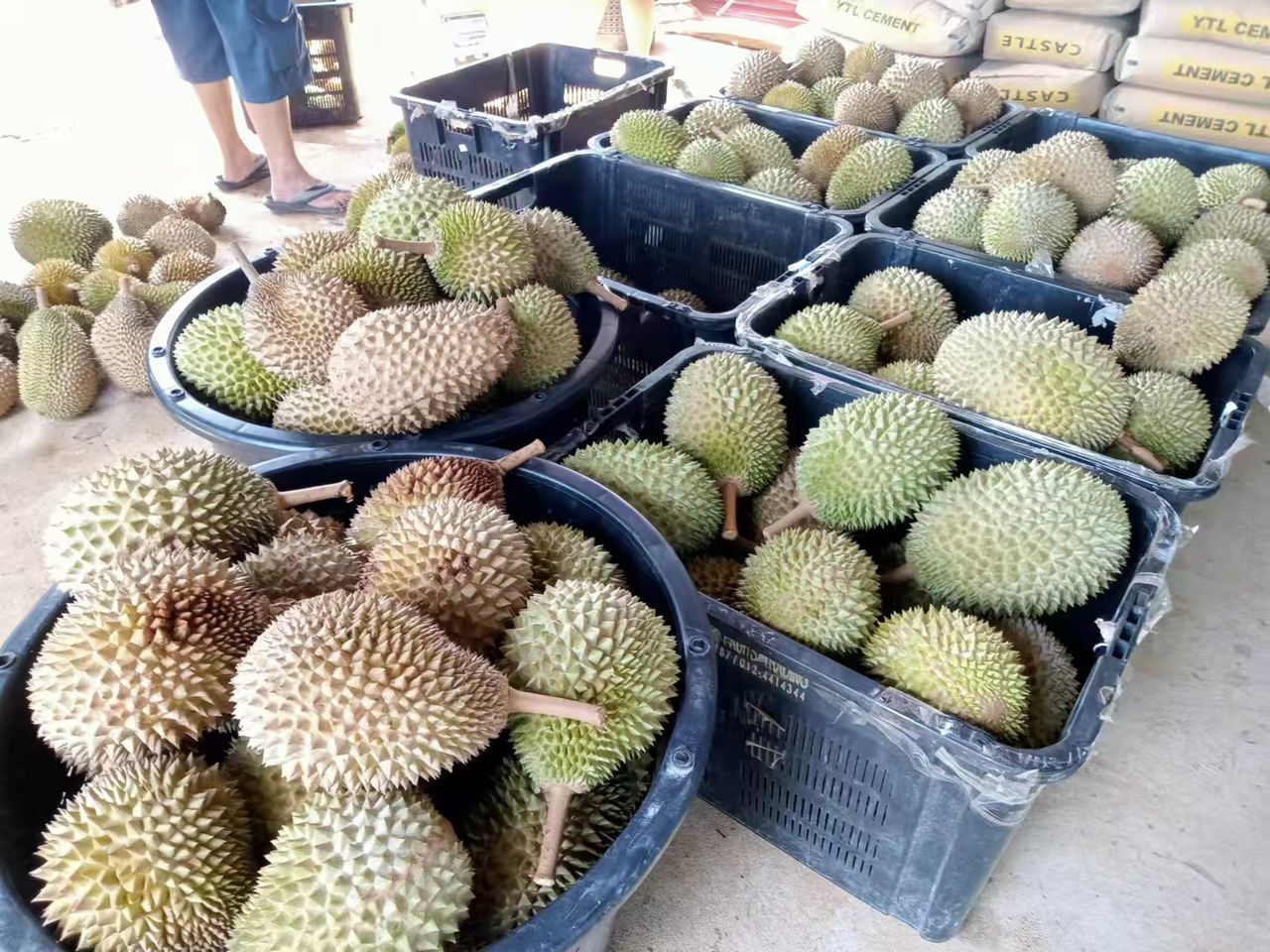 分拣与质量检查